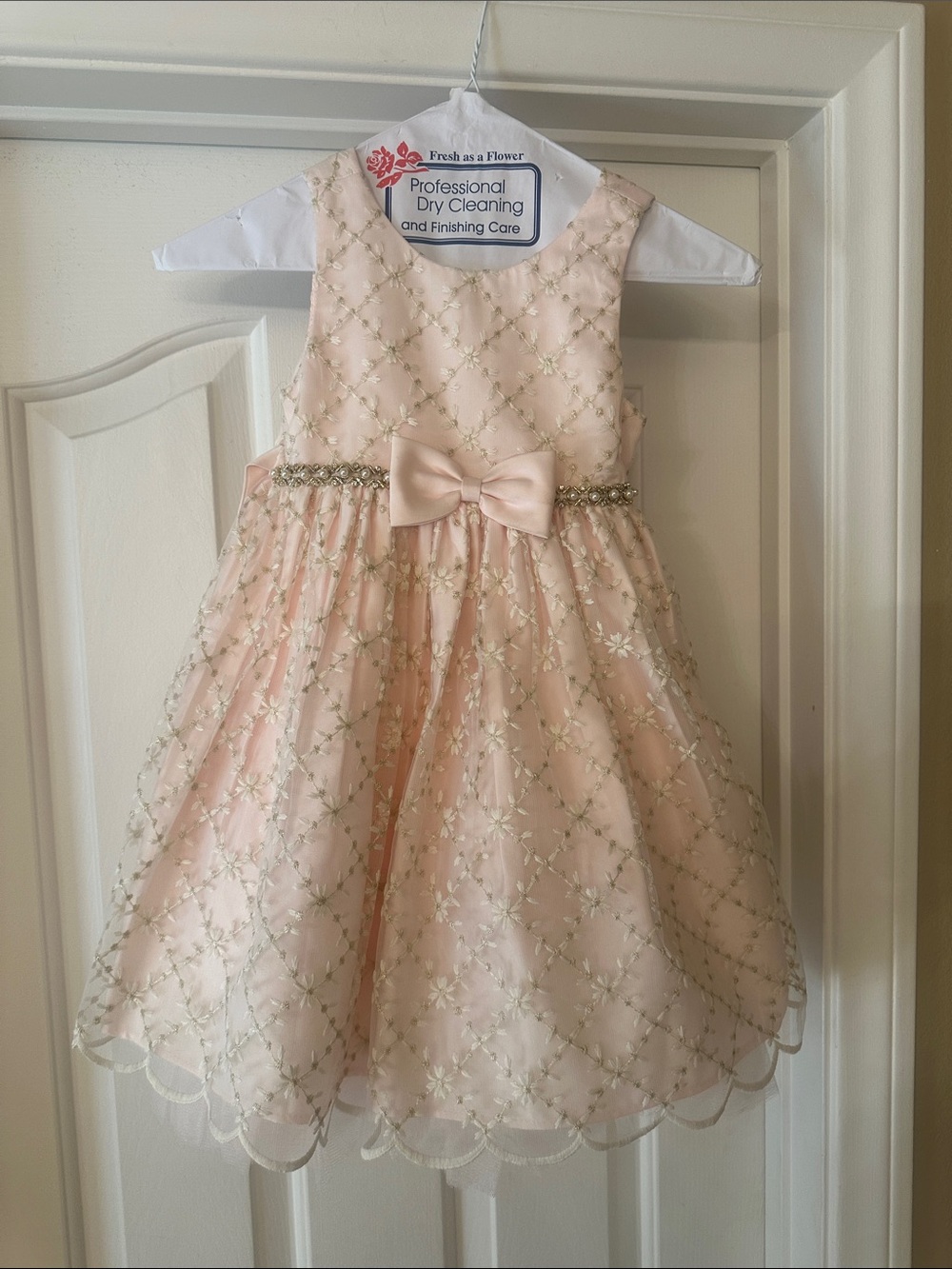 Girls' Pale Pink Floral Bow Party Dress